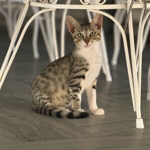 Meet your Posher, Evan